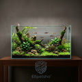 Elipetsho™ AquaScape Nature Aquarium